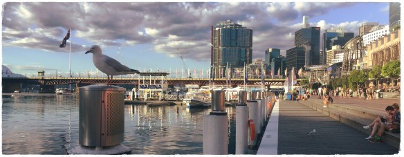 39079972872_23e2ec372d_o